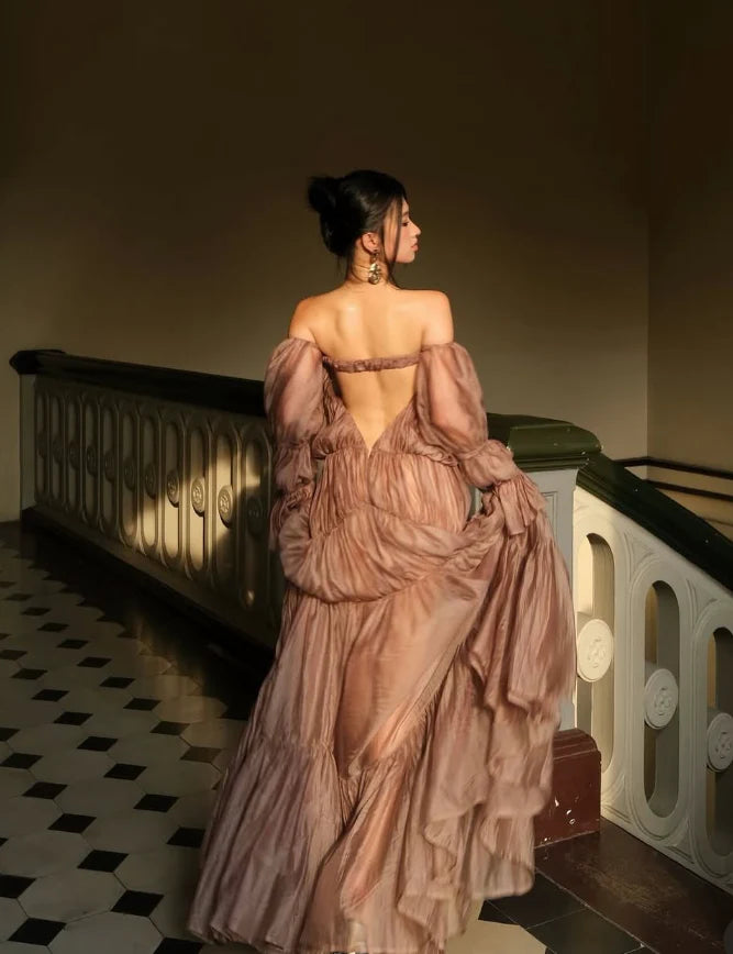 Elegant Brown Long Sleeve A-Line Long Prom Dress Ideas, Evening Party Dresses, WGP2024